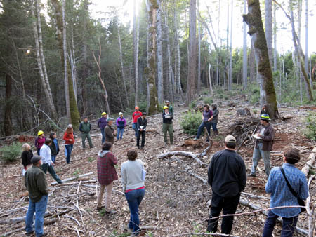 BlackOakRestoration BlackOakRestoration