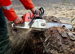 chainsaw chainsaw
