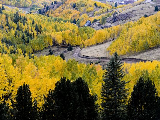 aspens.1 aspens.1