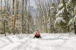 snowmobile 2 snowmobile 2