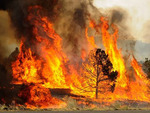 wildfire3 wildfire3